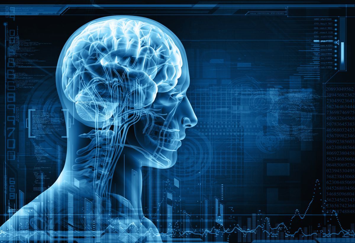 Le Cerveau Humain